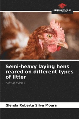 bokomslag Semi-heavy laying hens reared on different types of litter