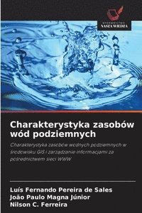 bokomslag Charakterystyka zasobów wód podziemnych