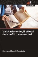 bokomslag Valutazione degli effetti dei conflitti comunitari