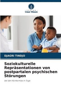 bokomslag Soziokulturelle Repräsentationen von postpartalen psychischen Störungen