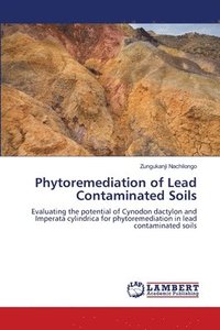 bokomslag Phytoremediation of Lead Contaminated Soils