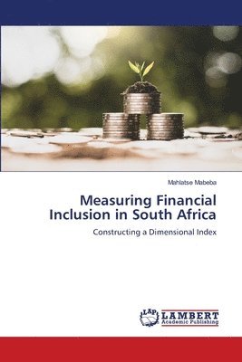 bokomslag Measuring Financial Inclusion in South Africa