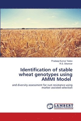 Identification of stable wheat genotypes using AMMI Model 1