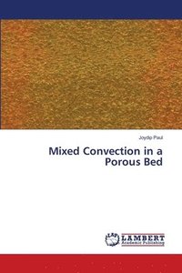 bokomslag Mixed Convection in a Porous Bed