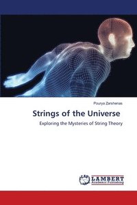 bokomslag Strings of the Universe