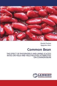 bokomslag Common Bean