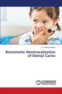 bokomslag Biomimetic Remineralization of Dental Caries