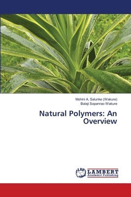 bokomslag Natural Polymers