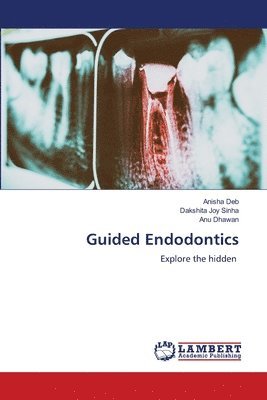 bokomslag Guided Endodontics