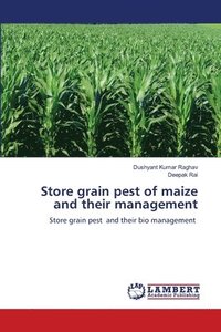 bokomslag Store grain pest of maize and their management