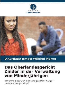 Das Oberlandesgericht Zinder in der Verwaltung von Minderjhrigen 1