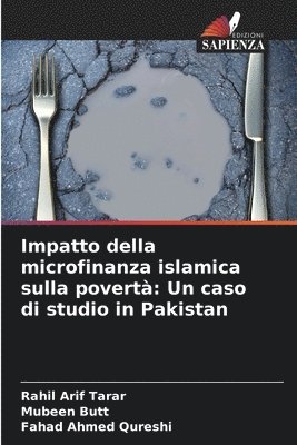 bokomslag Impatto della microfinanza islamica sulla povert