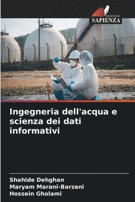 bokomslag Ingegneria dell'acqua e scienza dei dati informativi