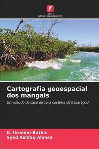 bokomslag Cartografia geoespacial dos mangais