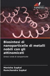 bokomslag Biosintesi di nanoparticelle di metalli nobili con gli attinomiceti