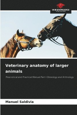 Veterinary anatomy of larger animals 1