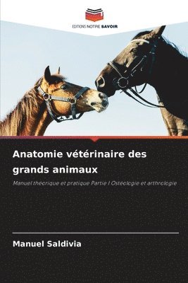 bokomslag Anatomie vtrinaire des grands animaux