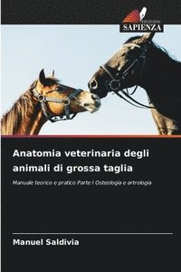 bokomslag Anatomia veterinaria degli animali di grossa taglia
