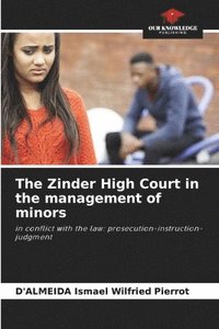 bokomslag The Zinder High Court in the management of minors