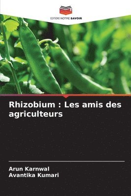 bokomslag Rhizobium: Les amis des agriculteurs