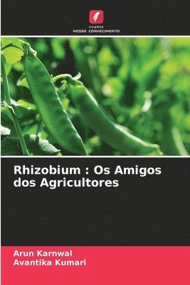 Rhizobium 1