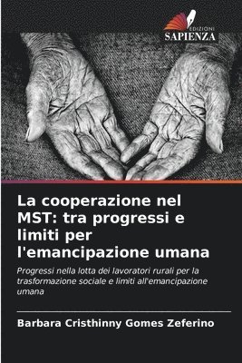 bokomslag La cooperazione nel MST