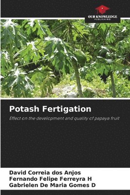bokomslag Potash Fertigation