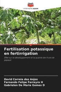 bokomslag Fertilisation potassique en fertirrigation