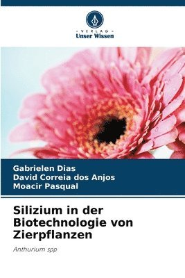 bokomslag Silizium in der Biotechnologie von Zierpflanzen