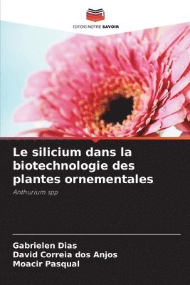 Le silicium dans la biotechnologie des plantes ornementales 1