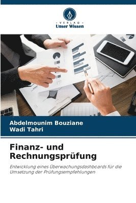 bokomslag Finanz- und Rechnungsprfung