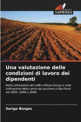 bokomslag Una valutazione delle condizioni di lavoro dei dipendenti