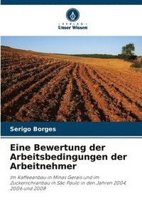 bokomslag Eine Bewertung der Arbeitsbedingungen der Arbeitnehmer