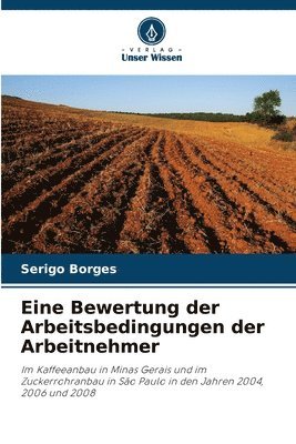 bokomslag Eine Bewertung der Arbeitsbedingungen der Arbeitnehmer