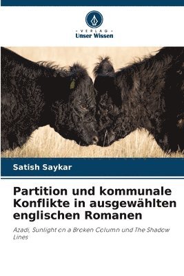 bokomslag Partition und kommunale Konflikte in ausgewhlten englischen Romanen