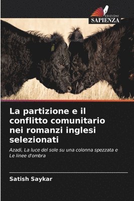 bokomslag La partizione e il conflitto comunitario nei romanzi inglesi selezionati