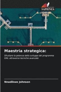 bokomslag Maestria strategica