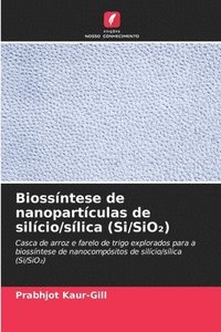 bokomslag Biossíntese de nanopartículas de silício/sílica (Si/SiO&#8322;)