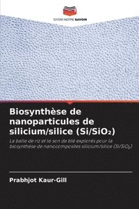 bokomslag Biosynthse de nanoparticules de silicium/silice (Si/SiO&#8322;)