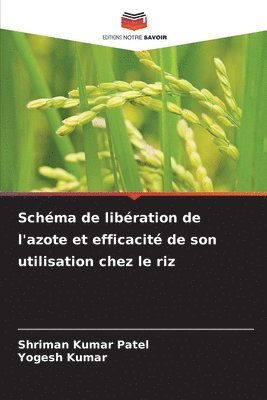 bokomslag Schma de libration de l'azote et efficacit de son utilisation chez le riz