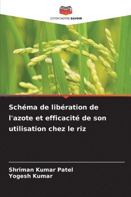Schma de libration de l'azote et efficacit de son utilisation chez le riz 1
