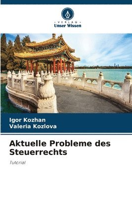 bokomslag Aktuelle Probleme des Steuerrechts