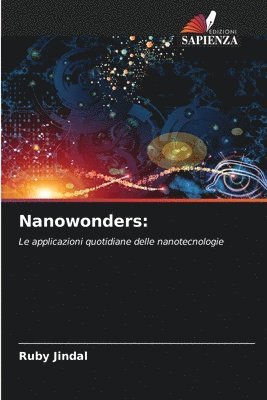 bokomslag Nanowonders