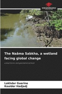 bokomslag The Nama Sabkha, a wetland facing global change