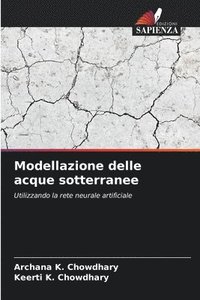 bokomslag Modellazione delle acque sotterranee