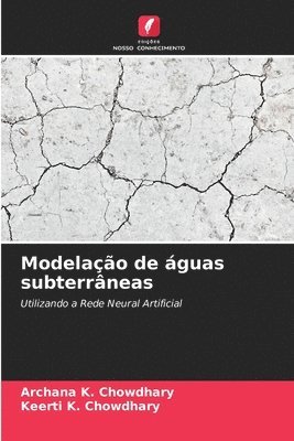 bokomslag Modelao de guas subterrneas