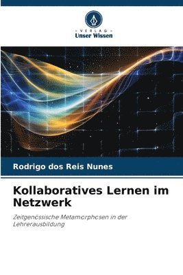 bokomslag Kollaboratives Lernen im Netzwerk