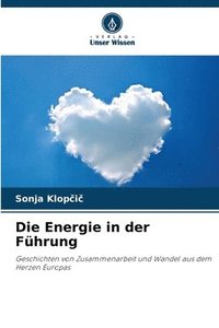 bokomslag Die Energie in der Fhrung