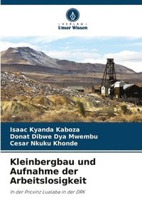 bokomslag Kleinbergbau und Aufnahme der Arbeitslosigkeit