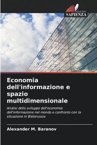 bokomslag Economia dell'informazione e spazio multidimensionale